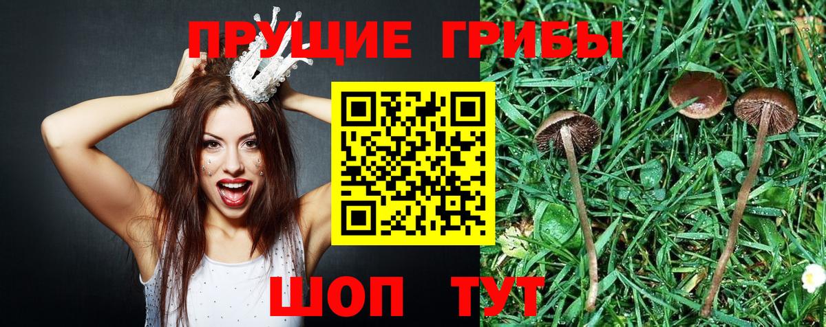 Галлюциногенные грибы ЛСД Костомукша