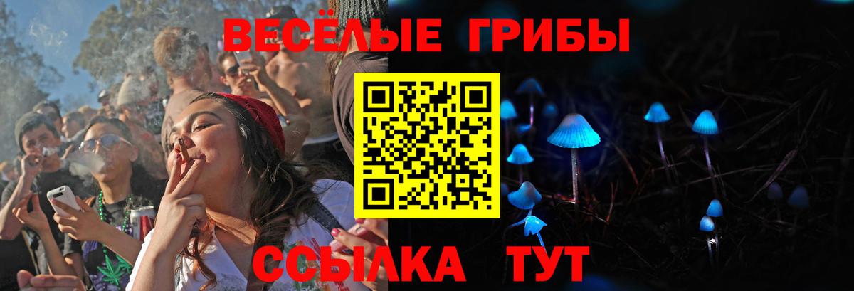 Костомукша  Псилоцибиновые грибы Cubensis  Вход с VPN 